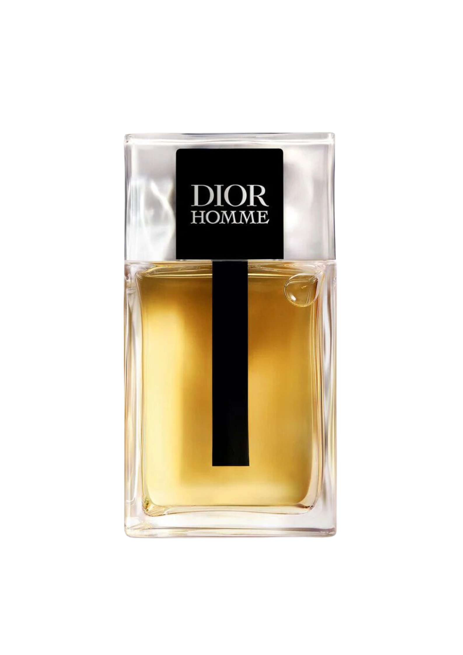 dior homme